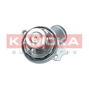 7710119 KAMOKA