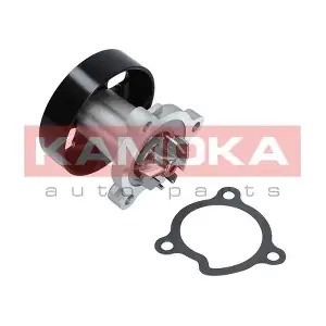 T0221 KAMOKA