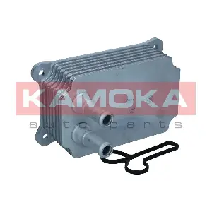 7730031 KAMOKA