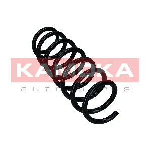 2110419 KAMOKA