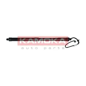 7094038 KAMOKA