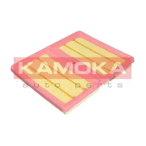F240501 KAMOKA