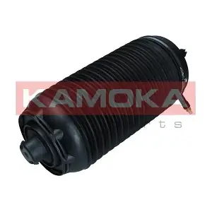 2079061 KAMOKA