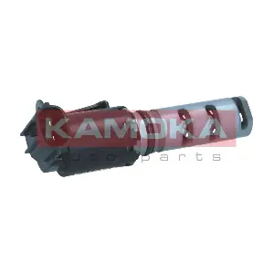 RA017 KAMOKA