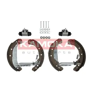 JQ213020 KAMOKA