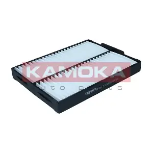 F428901 KAMOKA