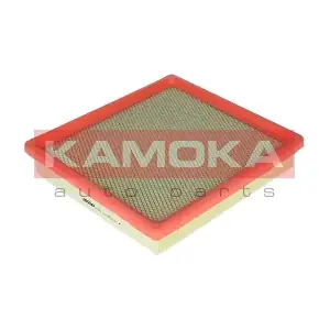 F216901 KAMOKA