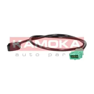 111002 KAMOKA