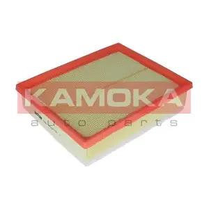 KAMOKA F229301