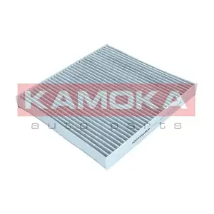 F517301 KAMOKA
