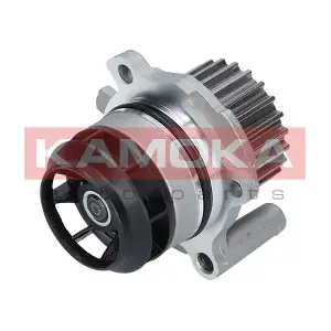 T0022 KAMOKA