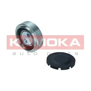 R0413 KAMOKA