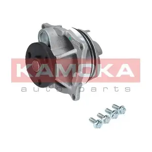 KAMOKA T0129