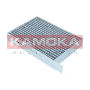 F519301 KAMOKA