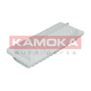 KAMOKA F212101