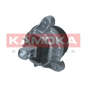 890421 KAMOKA