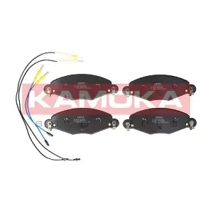 JQ101154 KAMOKA