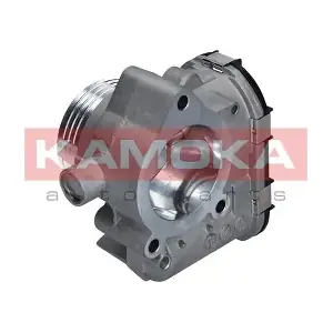KAMOKA 112020
