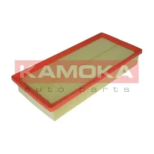 KAMOKA F217301