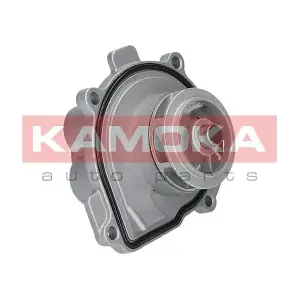 KAMOKA T0009