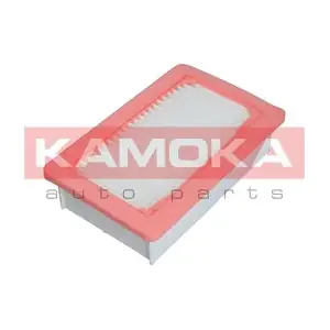 KAMOKA F240201