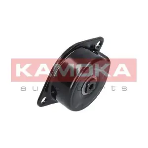 R0217 KAMOKA