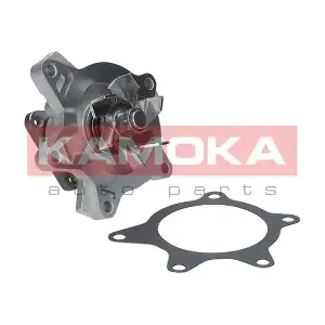 T0268 KAMOKA