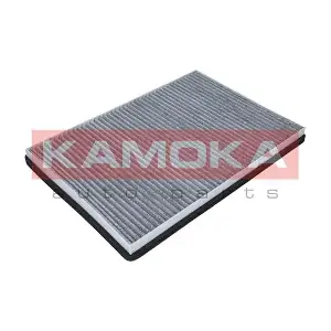 KAMOKA F501501