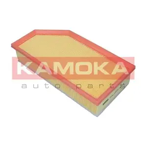 F244501 KAMOKA
