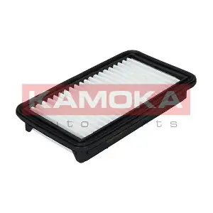 KAMOKA F212901