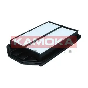 F256701 KAMOKA