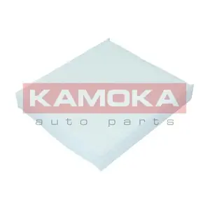 KAMOKA F409901