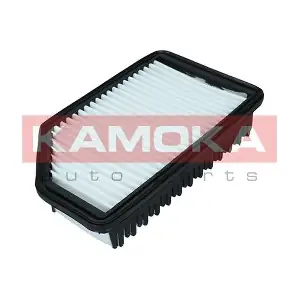 KAMOKA F247301