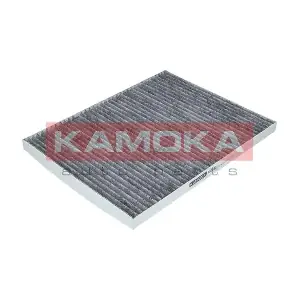 KAMOKA F500301