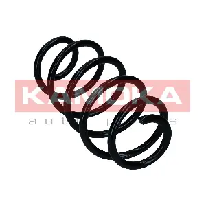 2110763 KAMOKA