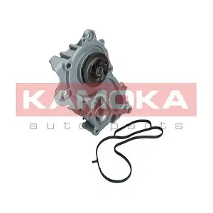 KAMOKA T0287