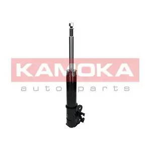 2000311 KAMOKA