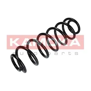 2120243 KAMOKA