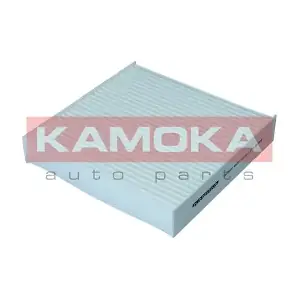 F423801 KAMOKA
