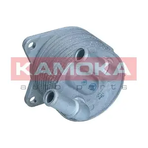 7730133 KAMOKA