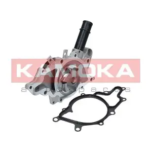 T0198 KAMOKA