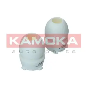 2019078 KAMOKA