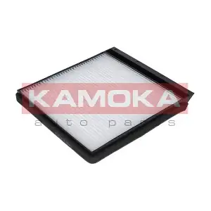 KAMOKA F403501
