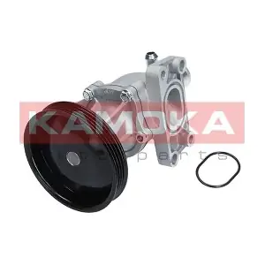 T0276 KAMOKA