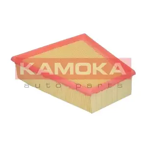 F202001 KAMOKA