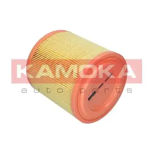F253301 KAMOKA
