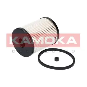 KAMOKA F307601