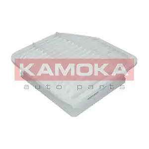 F230101 KAMOKA