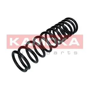 2120153 KAMOKA