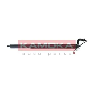 7094091 KAMOKA